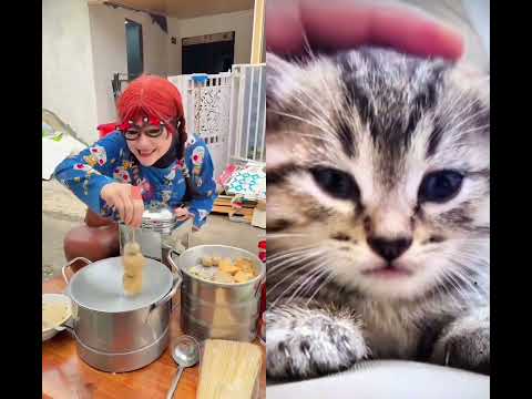 Emang bukan permen nur #memengakakkocak #komedi #cat thumbnail