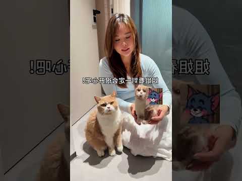 si adek terharu sama pemberian ibu dan koko? thumbnail