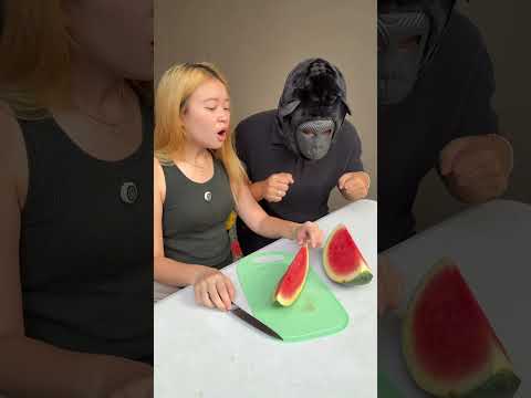 kasih makan meong thumbnail