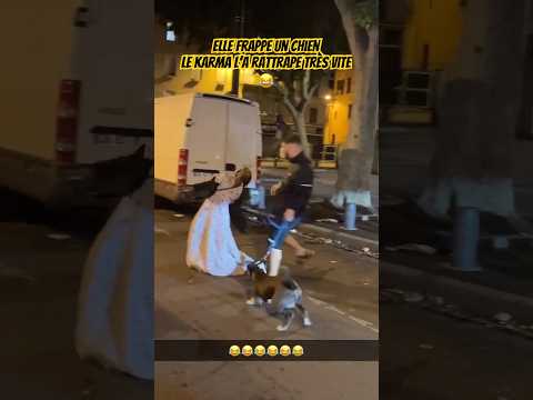 Elle frappe un chien et prend un karma en retour  #tiktok #humour #pittbull #karma #karen thumbnail