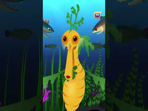Leafy Sea Dragon Nursery Rhyme #Shorts #ChuChuTV #NurseryRhymes #learningsongs #ChuChuTV100M thumbnail