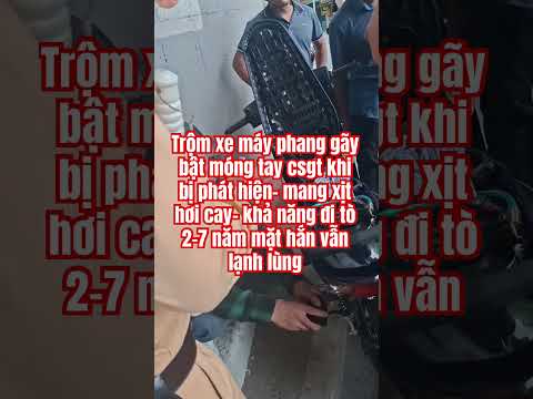 Có csgt không là dân cho cụp pha thumbnail