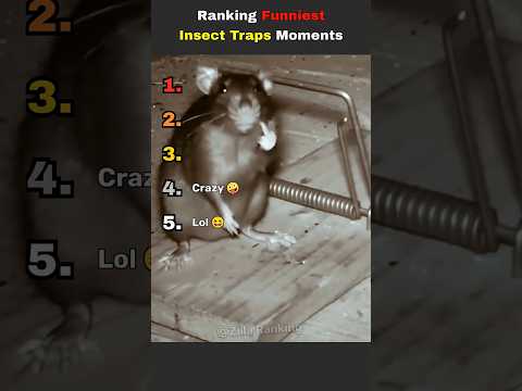 DON'T CHECK THE SOUND ?? thumbnail
