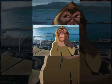 monkey thinking thumbnail