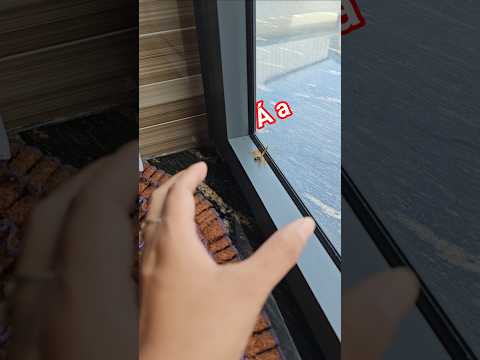 Con chuồn chuồn thumbnail