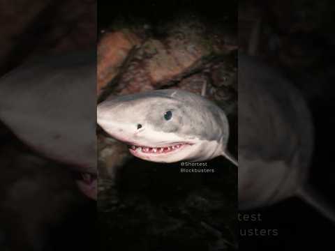 The Ocean is Broken | POV 05 #shorts #thalassophobia #thalassophobic thumbnail