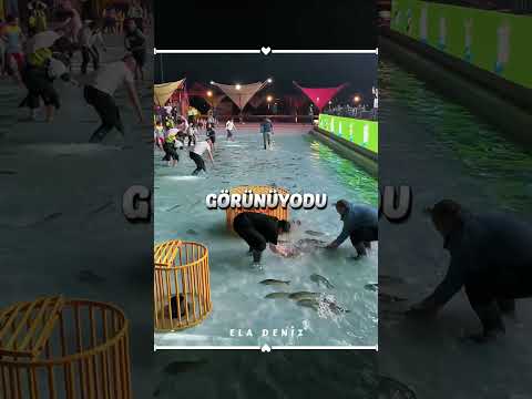 Balık Bedava Denince Ortalık Karıştı 🐟 thumbnail