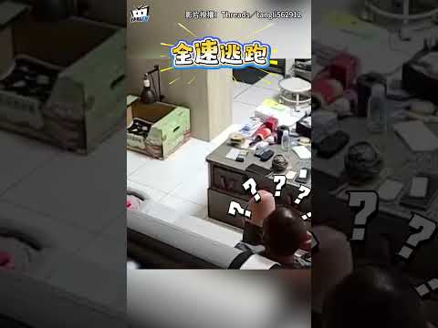 爸伸手想摸貓咪！下秒牠嚇到「原地起飛」炸毛狂逃：你不要過來啊#shorts thumbnail