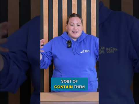 Why Every New Puppy Owner Needs a Baby Gate #Shorts thumbnail
