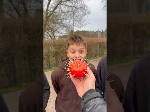 Prickly Tomato thumbnail