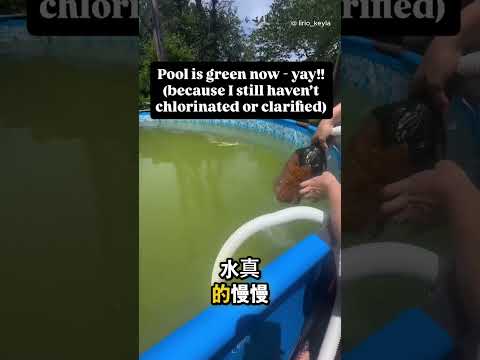 這女生自己做泳池過濾器…結果這個土法過濾器真的有用 😳 thumbnail