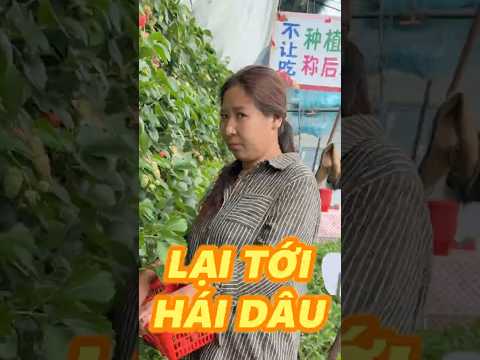 RẢNH RỖI LẠI GHÉ ỦNG HỘ BÀ CHỊ thumbnail