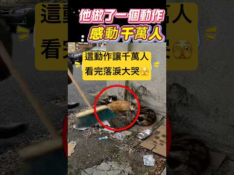 他做了一個動作！感動千萬人 🫣 #動作 #貓#shorts 小林Lin’s life thumbnail