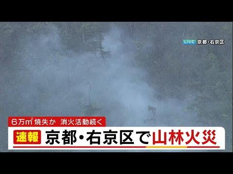 【速報】金閣寺の北西部の山林で火災発生「白い煙が上がっている」6万平米消失か…ヘリ出動し消火活動 京都・右京区 #short thumbnail