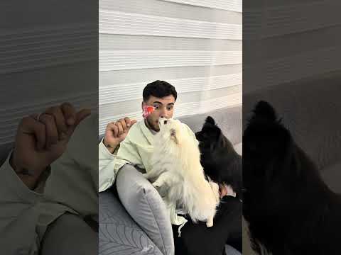 Hangisi daha zararlı Kelebek sarsılmaz #shortsvideo #sorts #youtubeshorts thumbnail