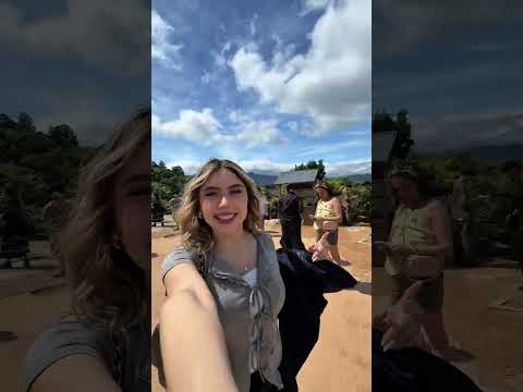 vine a japón a salvar a punch🙊🍌 #karentorres #punch #vlog #japon  #xkarentorres thumbnail