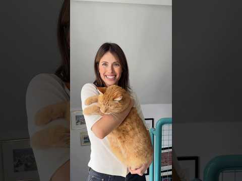 She has cats😳 #allergies #dating #cats #humor thumbnail