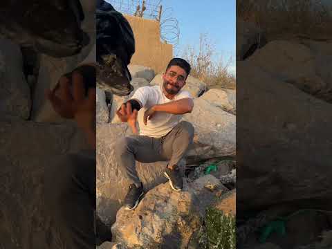 مارد البحر 😂🤣 thumbnail