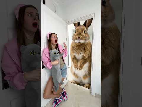 OMG Can Player escape from the Bunny? thumbnail