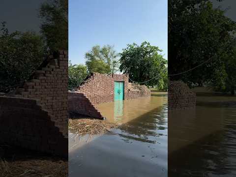 Flood effect on Houses of farmers # flood #shorts #pakistan #viral #khudniklain thumbnail