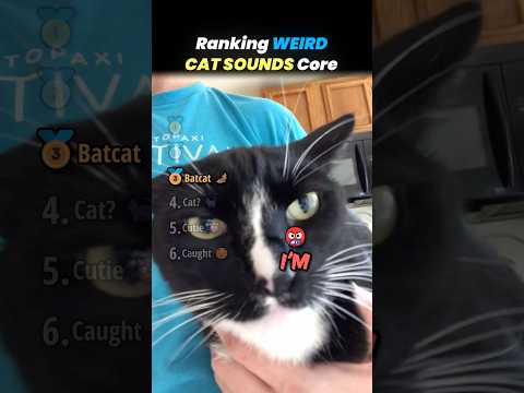 Ranking WEIRD CAT SOUNDS Core Moments!! 🐱📢 thumbnail
