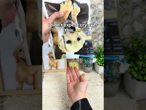 Wait for it ?❤️#pets #dogs #dogsoftiktok #dogloss #giftsideas thumbnail