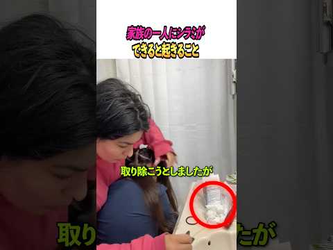 家族の一人にシラミができると起きること thumbnail