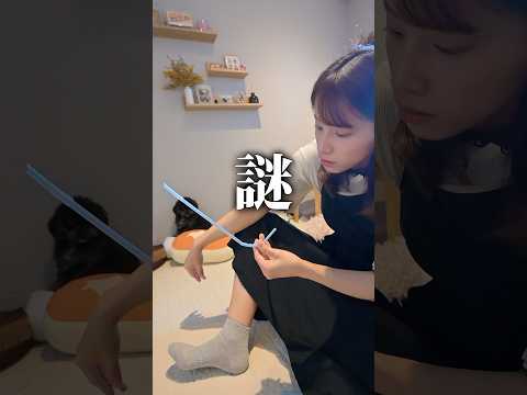 効率的すぎ thumbnail