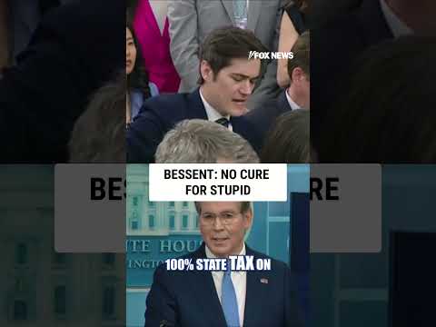 'NO CURE FOR STUPID': Bessent decries Newsom #scottbessent #shorts #politics #gavinnewsom thumbnail