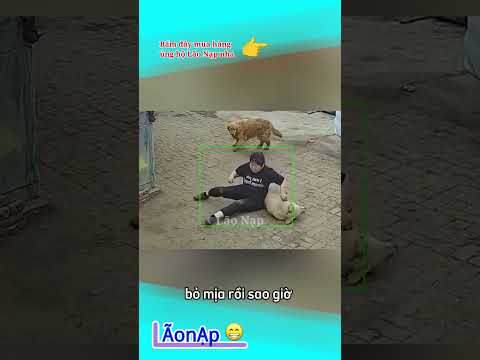 Đang ngủ ngon ? #laonap thumbnail