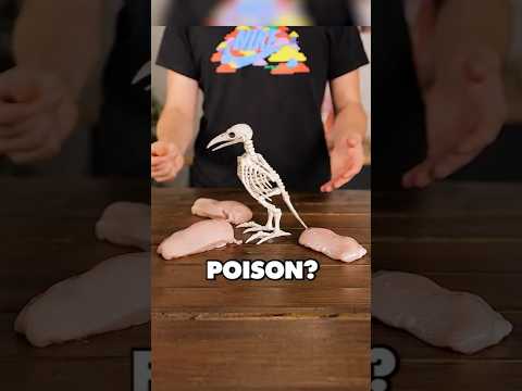 This made me sick for weeks #chickennuggets #cooking thumbnail