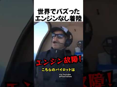 世界でバズったエンジンなし着陸 thumbnail