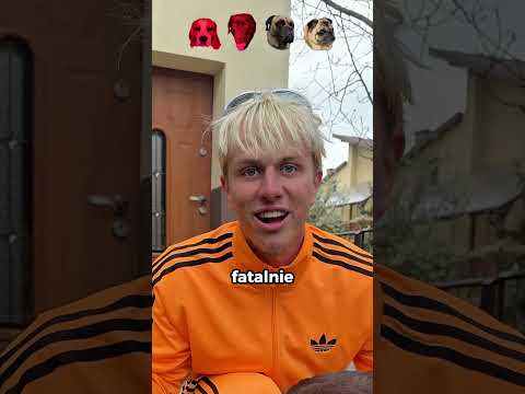 Który Pies Wytrzyma Najdłużej Bez Zjedzenia🦮🔥 thumbnail