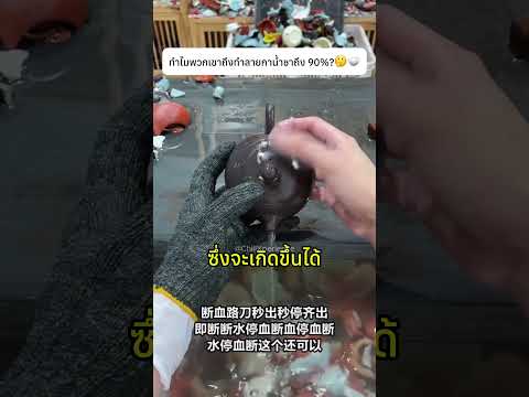 ทำไมพวกเขาถึงทำลายกาน้ำชาถึง 90%🤔🫖#tea #art #knowledge thumbnail