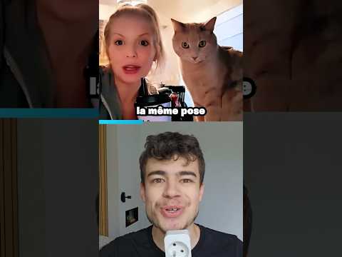 Animaux imitant les humains thumbnail