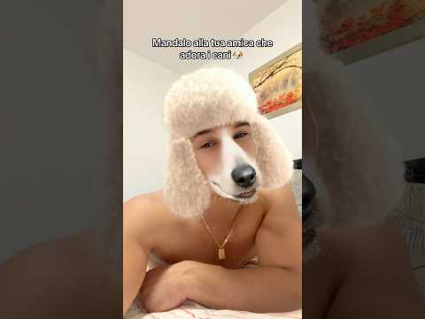 MANDALO ALL’AMICA A CUI PIACCIONO I CANI 🐕 #ridere#ironia#cani#cagnolino#filtro#divertente#shorts thumbnail