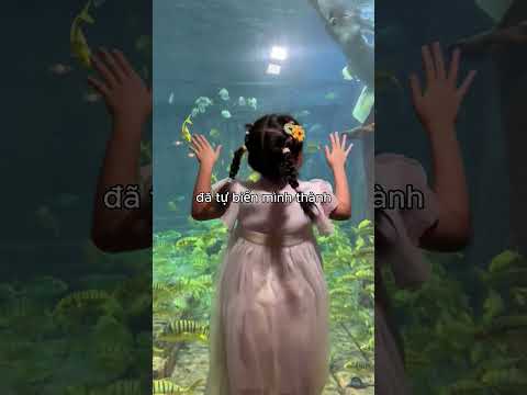 cô gái này đã thực sự biến thành nàng tiên cá thumbnail