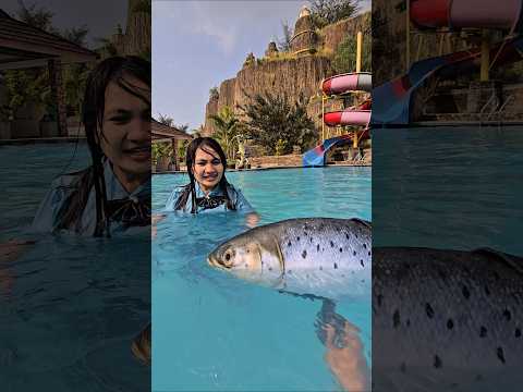 ikan kk hidup gays #trandingshorts thumbnail