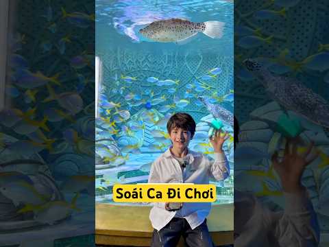 Soái ca đi triển lãm cá thumbnail