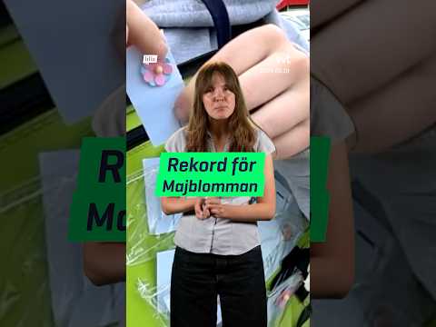 Rekord för Majblomman 2026! #lillaaktuellt thumbnail