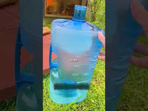 👀 Le sirop d’érable… thumbnail