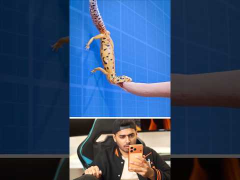 Lizard 🦎 Ft. Chipkali Gadget thumbnail