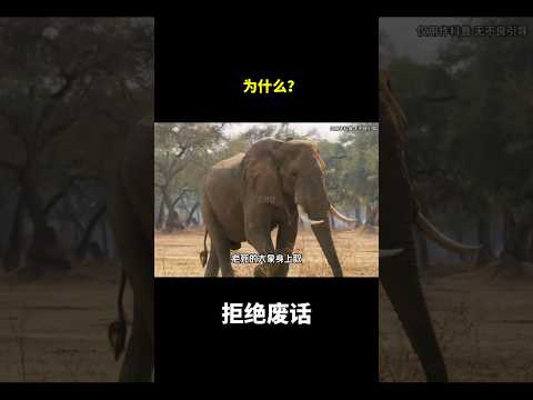 为什么？为什么？#冷知识 #涨知识 thumbnail