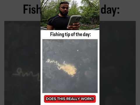Do Fish EAT RAMEN? thumbnail