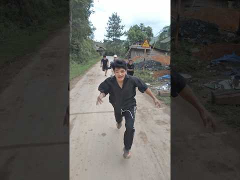 TRỒNG NGÔ| NHÀ P.O.I 280 thumbnail
