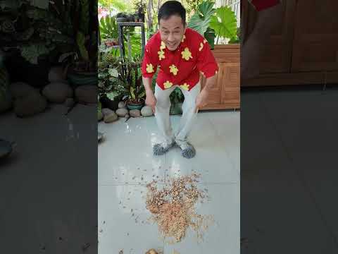 Bạn Dám Thử Cách Lau Sàn Kì Lạ Này #haongchu thumbnail