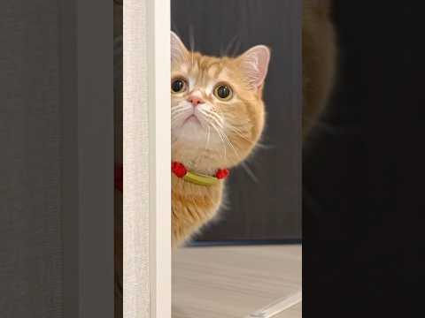Help! My Mouse Disappeared...! 🐭 thumbnail