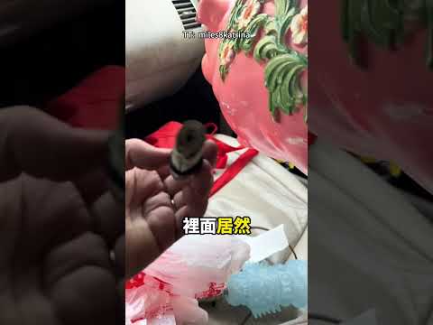 一个10美元的存钱罐，居然藏着大惊喜！🪙😮 thumbnail