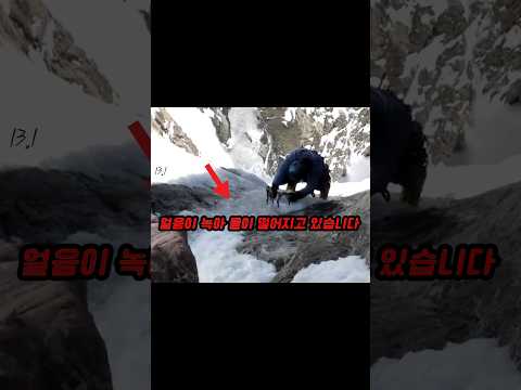 생명의 은인 thumbnail