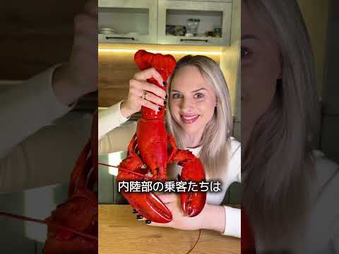 「海のゴキブリ」だったロブスター thumbnail